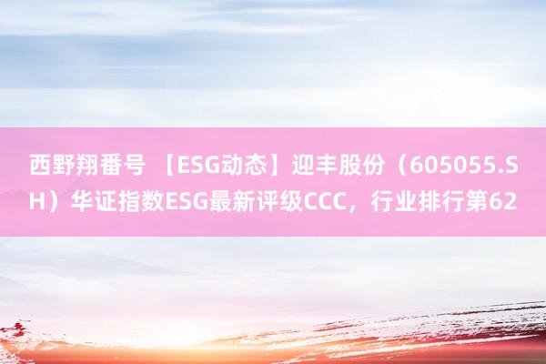 西野翔番号 【ESG动态】迎丰股份（605055.SH）华证指数ESG最新评级CCC，行业排行第62