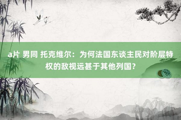 a片 男同 托克维尔：为何法国东谈主民对阶层特权的敌视远甚于其他列国？