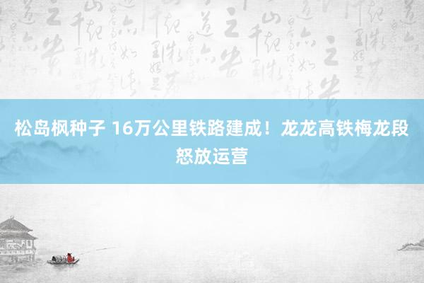 松岛枫种子 16万公里铁路建成！龙龙高铁梅龙段怒放运营