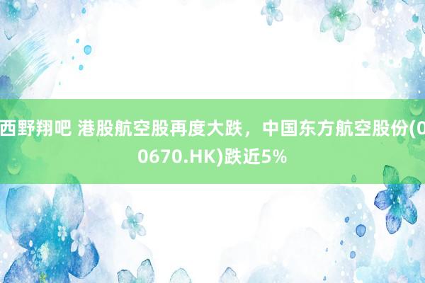 西野翔吧 港股航空股再度大跌，中国东方航空股份(00670.HK)跌近5%