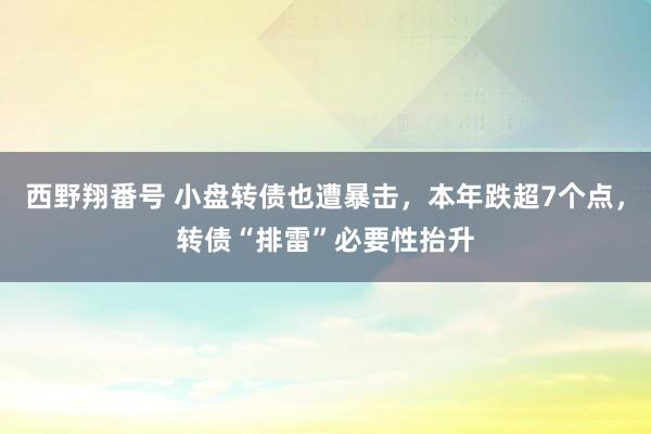 西野翔番号 小盘转债也遭暴击，本年跌超7个点，转债“排雷”必要性抬升