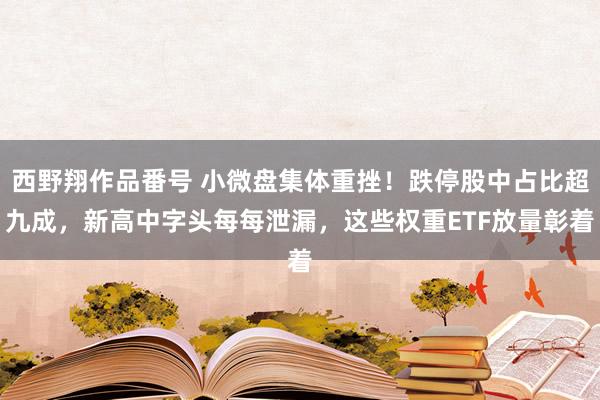 西野翔作品番号 小微盘集体重挫！跌停股中占比超九成，新高中字头每每泄漏，这些权重ETF放量彰着