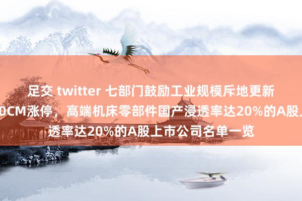 足交 twitter 七部门鼓励工业规模斥地更新！工业母机龙头30CM涨停，高端机床零部件国产浸透率达20%的A股上市公司名单一览