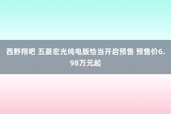 西野翔吧 五菱宏光纯电版恰当开启预售 预售价6.98万元起