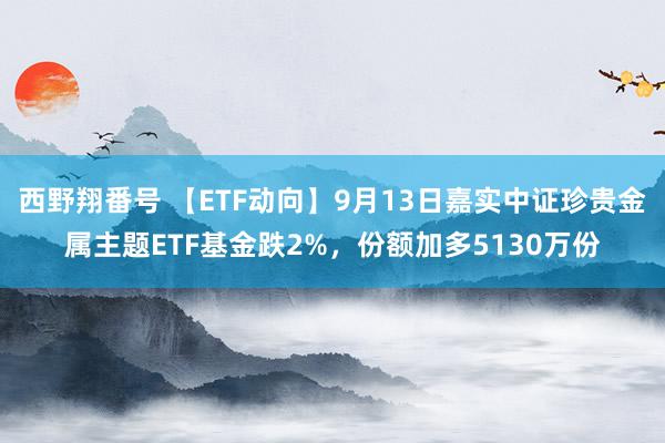 西野翔番号 【ETF动向】9月13日嘉实中证珍贵金属主题ETF基金跌2%，份额加多5130万份