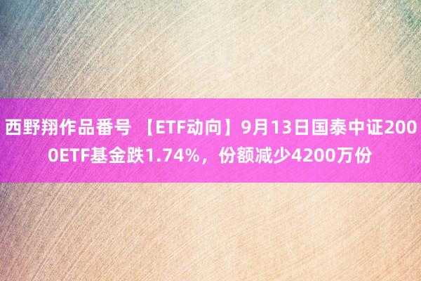 西野翔作品番号 【ETF动向】9月13日国泰中证2000ETF基金跌1.74%，份额减少4200万份