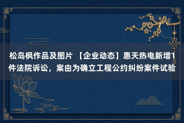 松岛枫作品及图片 【企业动态】惠天热电新增1件法院诉讼，案由为确立工程公约纠纷案件试验