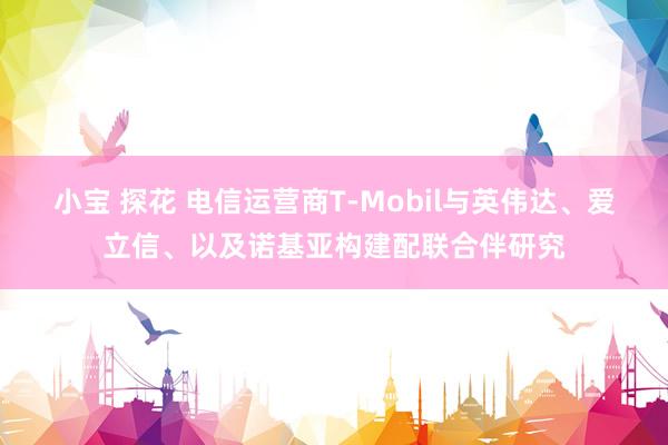 小宝 探花 电信运营商T-Mobil与英伟达、爱立信、以及诺基亚构建配联合伴研究