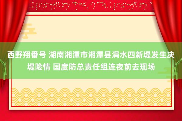 西野翔番号 湖南湘潭市湘潭县涓水四新堤发生决堤险情 国度防总责任组连夜前去现场