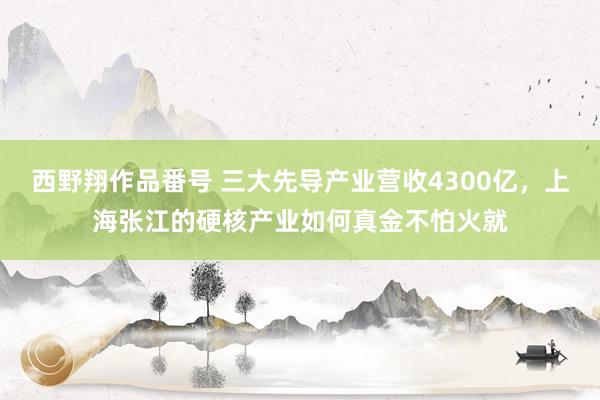 西野翔作品番号 三大先导产业营收4300亿，上海张江的硬核产业如何真金不怕火就