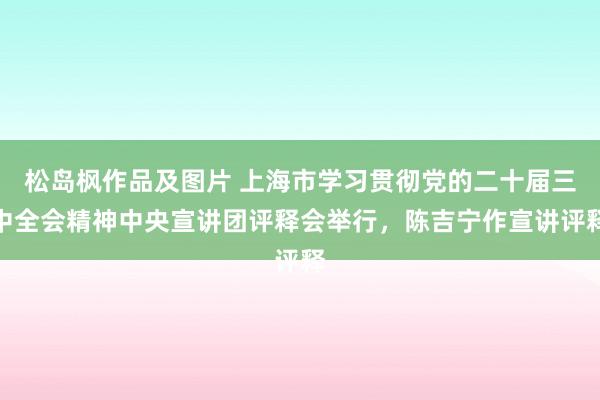 松岛枫作品及图片 上海市学习贯彻党的二十届三中全会精神中央宣讲团评释会举行，陈吉宁作宣讲评释