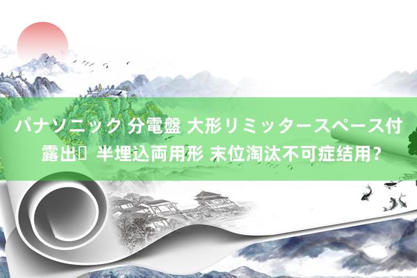 パナソニック 分電盤 大形リミッタースペース付 露出・半埋込両用形 末位淘汰不可症结用？