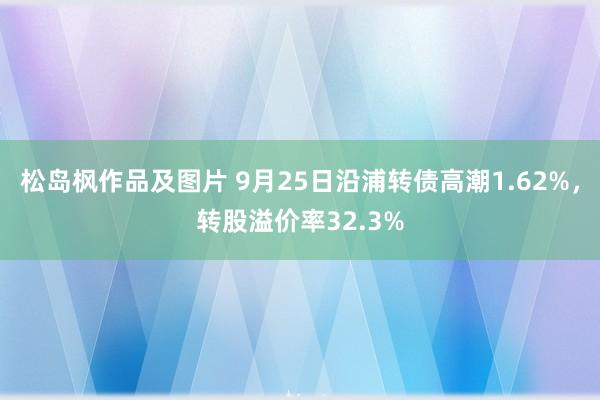 松岛枫作品及图片 9月25日沿浦转债高潮1.62%，转股溢价率32.3%