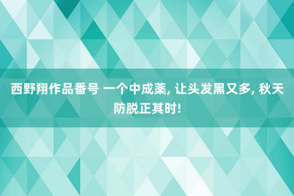 西野翔作品番号 一个中成薬， 让头发黑又多， 秋天防脱正其时!