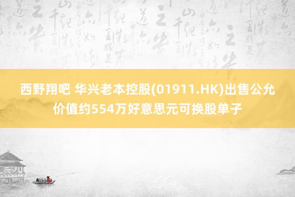 西野翔吧 华兴老本控股(01911.HK)出售公允价值约554万好意思元可换股单子