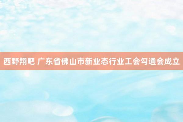 西野翔吧 广东省佛山市新业态行业工会勾通会成立