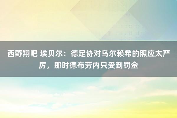 西野翔吧 埃贝尔：德足协对乌尔赖希的照应太严厉，那时德布劳内只受到罚金