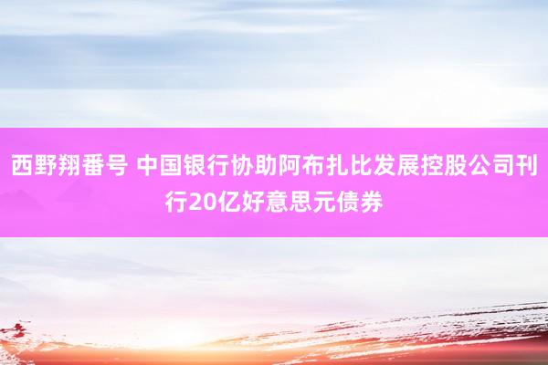 西野翔番号 中国银行协助阿布扎比发展控股公司刊行20亿好意思元债券