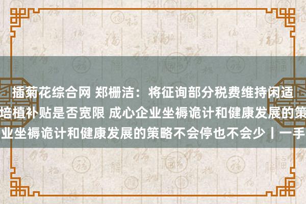 插菊花综合网 郑栅洁：将征询部分税费维持闲适保障、援企稳岗、妙技培植补贴是否宽限 成心企业坐褥诡计和健康发展的策略不会停也不会少丨一手