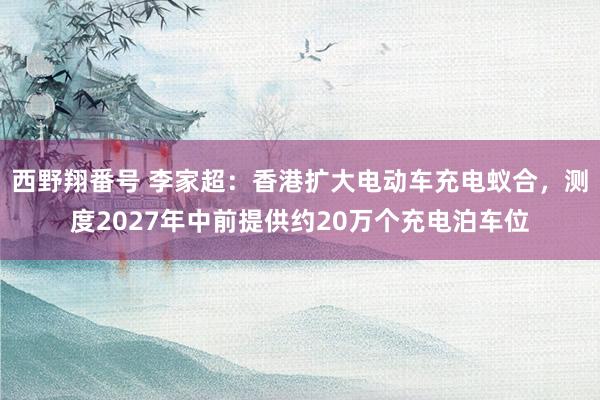 西野翔番号 李家超：香港扩大电动车充电蚁合，测度2027年中前提供约20万个充电泊车位