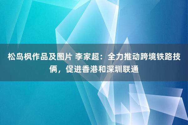 松岛枫作品及图片 李家超：全力推动跨境铁路技俩，促进香港和深圳联通