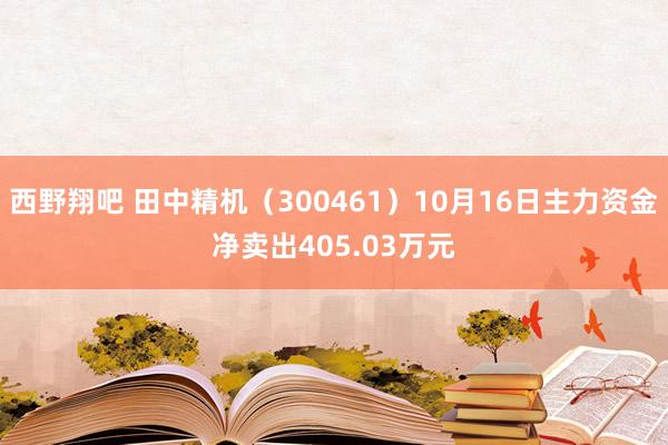 西野翔吧 田中精机（300461）10月16日主力资金净卖出405.03万元