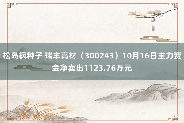 松岛枫种子 瑞丰高材（300243）10月16日主力资金净卖出1123.76万元