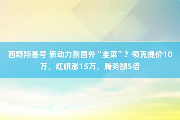 西野翔番号 新动力割国外“韭菜”？领克提价10万，红旗涨15万，腾势翻5倍