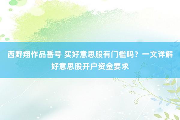 西野翔作品番号 买好意思股有门槛吗？一文详解好意思股开户资金要求