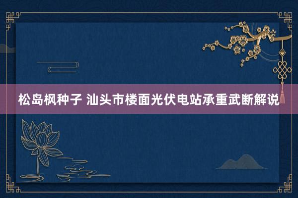 松岛枫种子 汕头市楼面光伏电站承重武断解说