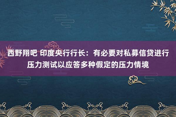 西野翔吧 印度央行行长：有必要对私募信贷进行压力测试以应答多种假定的压力情境