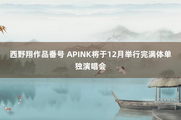 西野翔作品番号 APINK将于12月举行完满体单独演唱会