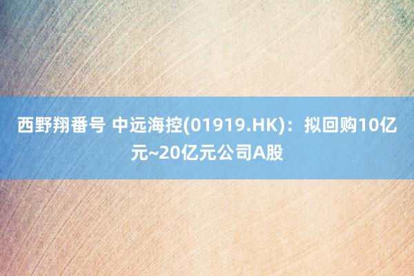 西野翔番号 中远海控(01919.HK)：拟回购10亿元~20亿元公司A股