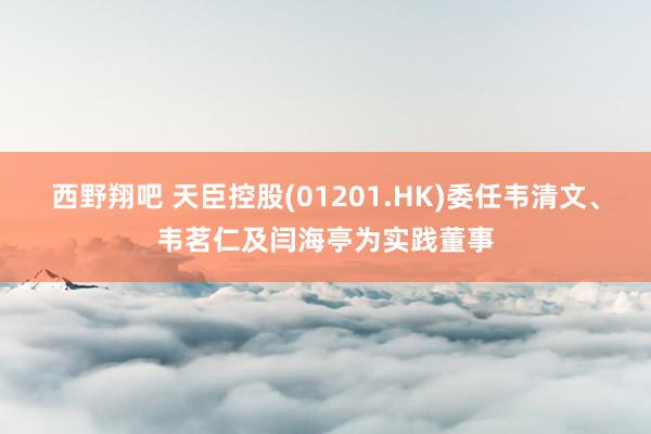 西野翔吧 天臣控股(01201.HK)委任韦清文、韦茗仁及闫海亭为实践董事