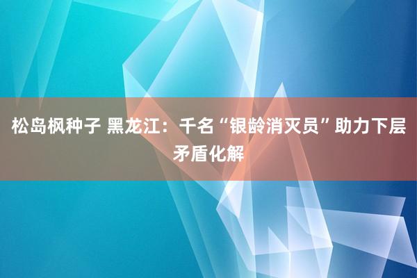 松岛枫种子 黑龙江：千名“银龄消灭员”助力下层矛盾化解