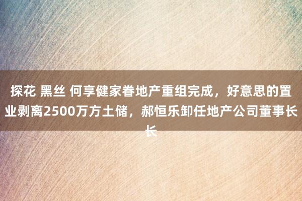 探花 黑丝 何享健家眷地产重组完成，好意思的置业剥离2500万方土储，郝恒乐卸任地产公司董事长