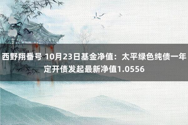 西野翔番号 10月23日基金净值：太平绿色纯债一年定开债发起最新净值1.0556