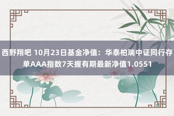 西野翔吧 10月23日基金净值：华泰柏瑞中证同行存单AAA指数7天握有期最新净值1.0551