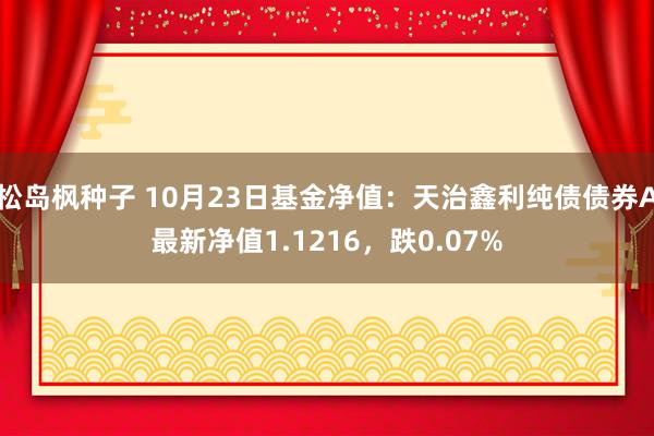 松岛枫种子 10月23日基金净值：天治鑫利纯债债券A最新净值1.1216，跌0.07%