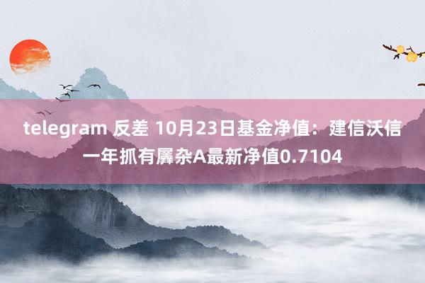 telegram 反差 10月23日基金净值：建信沃信一年抓有羼杂A最新净值0.7104