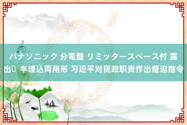 パナソニック 分電盤 リミッタースペース付 露出・半埋込両用形 习近平对民政职责作出蹙迫指令