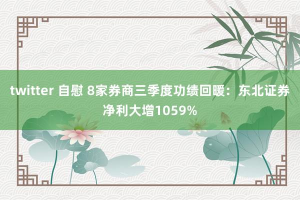 twitter 自慰 8家券商三季度功绩回暖：东北证券净利大增1059%