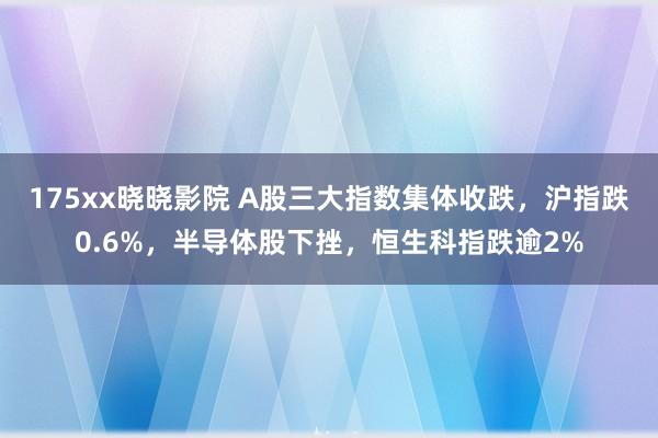 175xx晓晓影院 A股三大指数集体收跌，沪指跌0.6%，半导体股下挫，恒生科指跌逾2%