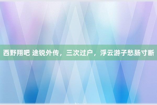 西野翔吧 途锐外传，三次过户，浮云游子愁肠寸断