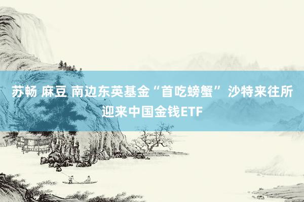 苏畅 麻豆 南边东英基金“首吃螃蟹” 沙特来往所迎来中国金钱ETF