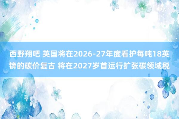 西野翔吧 英国将在2026-27年度看护每吨18英镑的碳价复古 将在2027岁首运行扩张碳领域税