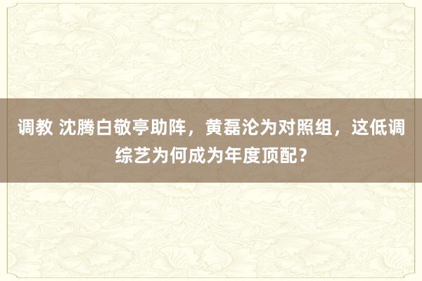 调教 沈腾白敬亭助阵，黄磊沦为对照组，这低调综艺为何成为年度顶配？