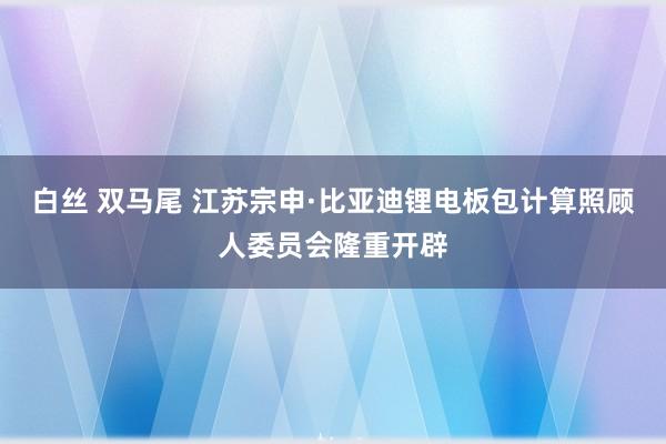 白丝 双马尾 江苏宗申·比亚迪锂电板包计算照顾人委员会隆重开辟