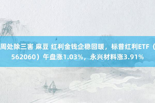 周处除三害 麻豆 红利金钱企稳回暖，标普红利ETF（562060）午盘涨1.03%，永兴材料涨3.91%