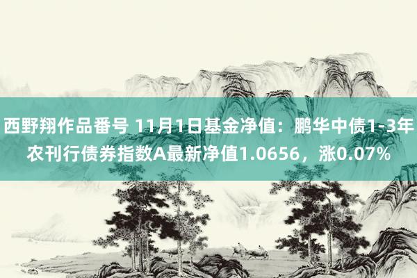 西野翔作品番号 11月1日基金净值：鹏华中债1-3年农刊行债券指数A最新净值1.0656，涨0.07%